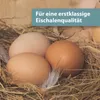 Quiko Hobbyfarming Mineralgrit für Hühner und Geflügel 1,5 Produktbild-Vorschau 4