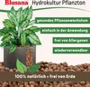 Blusana Blähton 5 Liter mittlere Körnung 4-8mm Produktbild-Vorschau 4