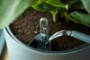 Close-up of a plant pot with a watering indicator and water being poured into it. Produktbild-Vorschau