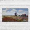 Coloray Bild aus Acryl 100 cm x 50 cm - Gehärtetes Acryl Produktbild-Vorschau 2