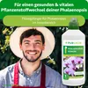 Purgrün Phalaenopsis-Dünger 1 Liter, Produktbild-Vorschau 2