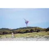 HQ Lenkdrachen Speed & Power Stormy Pete Graphite Voir les images du produit 9