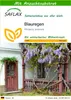 SAFLAX - Blauregen - Wisteria sinensis - 4 Samen - Mit Produktbild-Vorschau 1