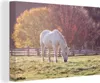 OneMillionCanvasses® - Leinwandbilder - 140x90 cm, Pferd Produktbild-Vorschau 1