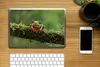 MuchoWow® Laptop Aufkleber Sticker Cover Rotäugiger Produktbild-Vorschau 2