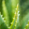 Babaria Aloe Sonnenschutzspray LSF 50 200 ml + After Sun Produktbild-Vorschau 7