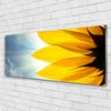 Acrylglasbilder 125x50 Wandbild Druck Blütenblätter Produktbild-Vorschau 2