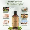 Oregano Öl - 100% Naturrein +82% Carvacrol [BIO-] - Wilder Produktbild-Vorschau 4