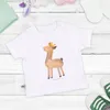 Mr. & Mrs. Panda  T-Shirt Lama König 0. - 6. Monat - Weiß - Produktbild-Vorschau 3