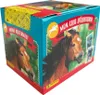 Pferde - Meine Reiterwelt - Sammersticker - 1 Display (36 Produktbild-Vorschau 3