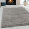 Hochflor Teppich Francesca rechteckig, Farbe: Beige, Produktbild-Vorschau 2