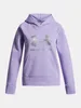 Under Armour Ua Rival Flc Shimmer Hdy - transparentní, Náhled obrázku produktu 3