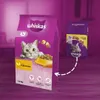 Whiskas Kurczak dla kota 1,4 kg Produktbild-Vorschau 4
