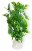 Plantes d'aquarium artificielles, 40 x 20 cm XL, socle en Voir les images du produit 1