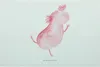 Mr. & Mrs. Panda Schneidplatte Glas Axolotl Tanzen - Weiß - Produktbild-Vorschau 1