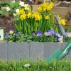 LARS360 70er Pack Beeteinfassung 17,5m, Beetumrandung in Produktbild-Vorschau 8