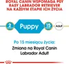 Royal Canin Labrador Retriever Puppy 12kg Produktbild-Vorschau 6