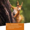 Wildlife Heart Eichhörnchen-Futterhaus | Wetterfest | Produktbild-Vorschau 4