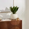 Plante artificielle agave POSA, présentée dans un pot Voir les images du produit 2