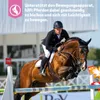 PrimeVal Gelatine voor paarden - bevordert de spierconditie Productafbeelding-voorbeeld 3