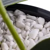 Orchidea artificiale a cascata bouquet bianco in vaso Anteprima dell’immagine prodotto 4