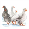 RP 20 Servietten Winter Geese - Gänse im Winter 33x33cm Produktbild-Vorschau 1