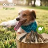 Kamel-Pansen 100g Produktbild-Vorschau 2
