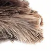 Prachovka z pštrosího peří Prachovka z dřevěného kartáče Náhled obrázku produktu 7