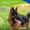 Canina Petvital Energy-Gel 100g Produktbild-Vorschau 2