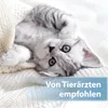 Felisept Ohrpflege Finger-Pads für Katzen 50 Stück Produktbild-Vorschau 5