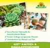 Neudorff  - Azet Kakteen- & SukkulentenDünger 250 ml für Produktbild-Vorschau 4