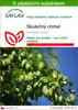 SAFLAX - skutečný chmel - Humulus lupulus - 50 Semena - S Náhled obrázku produktu 1