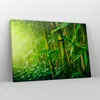 Bild auf Leinwand - Leinwandbild - Bambus Pflanze - 70x50cm Produktbild-Vorschau 4