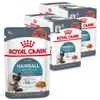Royal Canin Hairball Care Gravy, Adult, jede Rasse, Muschel Produktbild-Vorschau 8