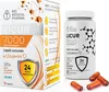 Curcuma en gélules avec vitamine D3- Biodisponibilité 185 Voir les images du produit 1