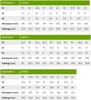 MEINDL Kapstadt GTX grau/petrol 46.5 Produktbild-Vorschau 11