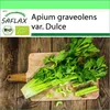 SAFLAX Garden to go - BIO - Celer - Vysoký Utah - Apium Náhled obrázku produktu 10