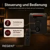 Ferguson Regent Power Audio 400BT RGB głośnik Bluetooth 60W Podgląd zdjęcia produktu 6