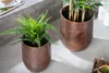 Edles 2er Set Blumentopf FLOWERS XL 37cm kupfer geflammt Produktbild-Vorschau 2