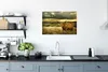 MuchoWow® Poster Schottische Hochlandrind - Licht - Natur Produktbild-Vorschau 3