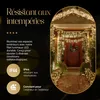 Meisterhome Filet lumineux LED 3x3 mètres pour l'extérieur Voir les images du produit 3