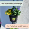 Blumentopf für Regenrohr Fallrohr Blumentopf Regenrohr Produktbild-Vorschau 7