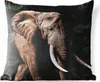 MuchoWow® Outdoor Kissen - Elefant - Tiere - Zähne - 50x50 Produktbild-Vorschau 1