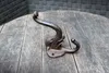 A cast iron elephant hook resting on a wooden table. Produktbild-Vorschau