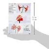 OLYMPIA 9168 1x100 Laminierfolien DIN A6 80 micron Productafbeelding-voorbeeld 3