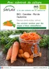 SAFLAX  -- Carottes - Roi de l'automne - 1000 graines - Voir les images du produit 1