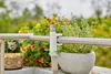 Gardena ClickUp! Balkonhalterung Produktbild-Vorschau 21