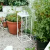 A white metal plant stand with a potted plant on top, placed outdoors on gravel among other plants and pots. Náhled obrázku produktu