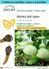SAFLAX Dárková sada - Africká obří tykev - Lagenaria Náhled obrázku produktu 1