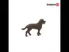 Schleich Labrador Retriever Welpe Produktbild-Vorschau 4